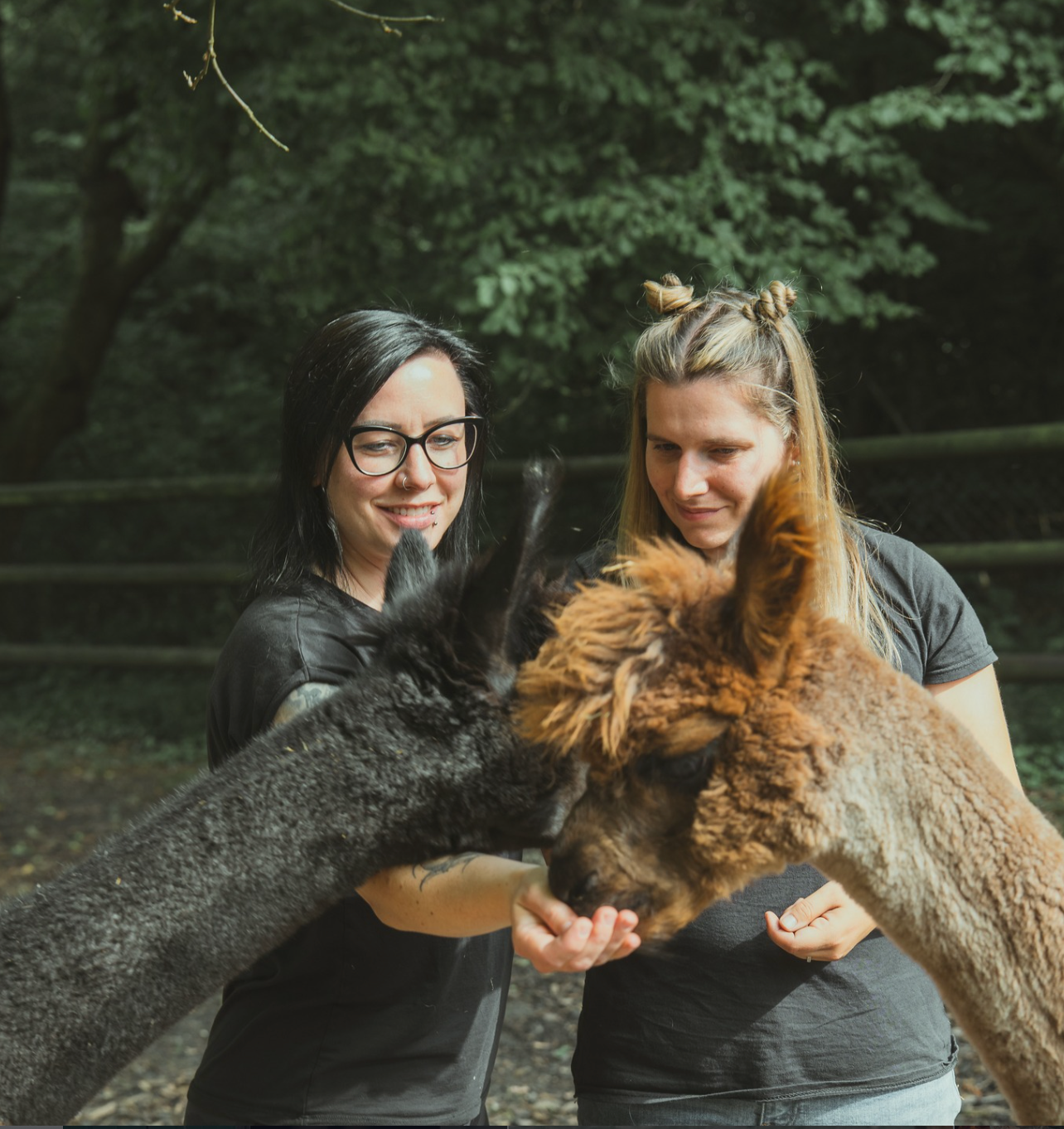 Kreative Auszeit: Schmuck gestalten & Alpakas hautnah erleben 14.06.2026