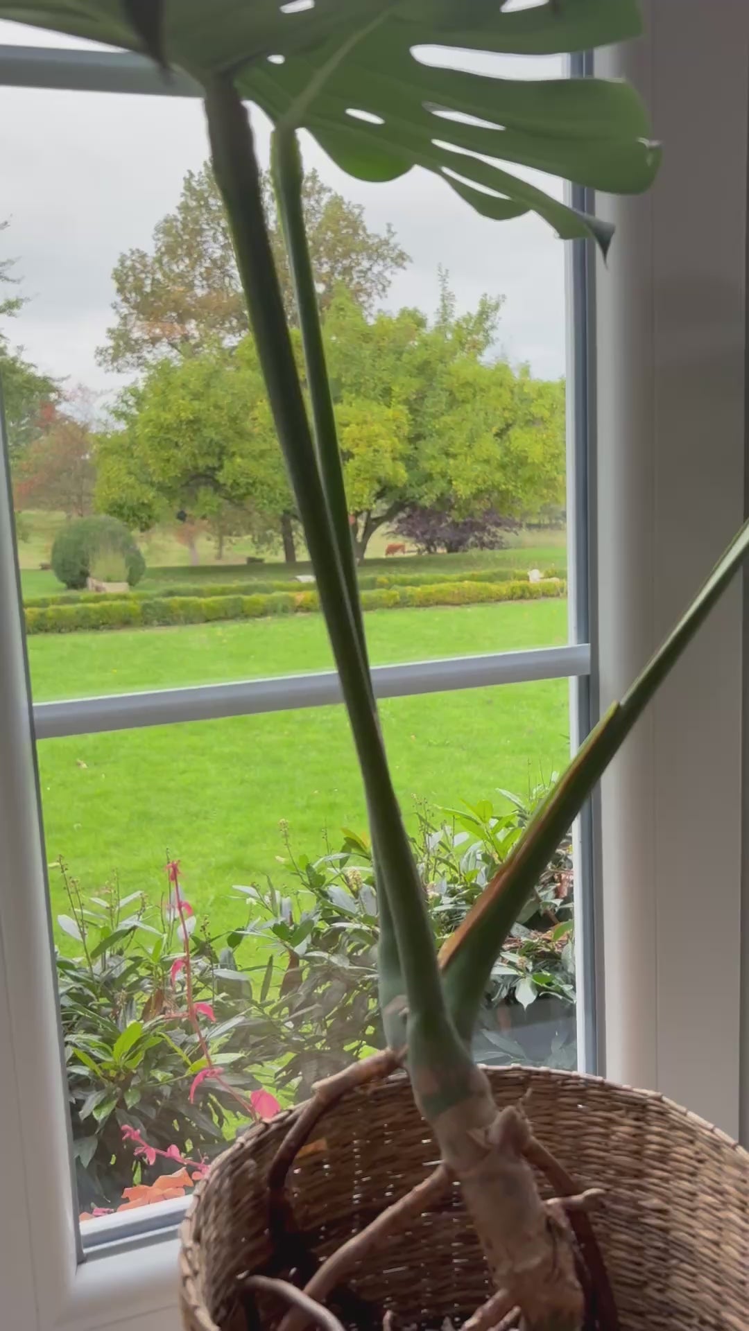 Schmuck Workshop im Hof Atelier auf Hof Sümmermann in Fröndenberg/Ruhr am 21.06.2026